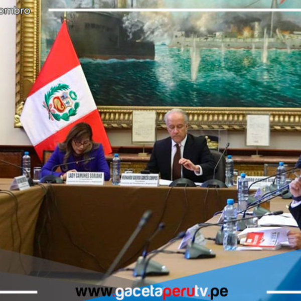 Comisión de Constitución sesionará hoy a las 19:00 horas