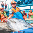 Recursos hidrobiológicos podrán ser exportados a Japón