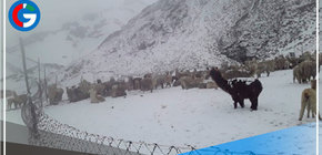 Precipitaciones sólidas caerán en la sierra centro y sur hasta el domingo 