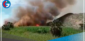 Un bombero herido y 1,5 has de cobertura vegetal dañadas por incendio forestal en Áncash