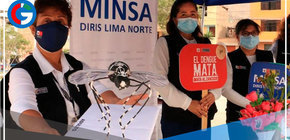 Personal del Minsa hace barrido casa por casa en Collique para controlar el Dengue