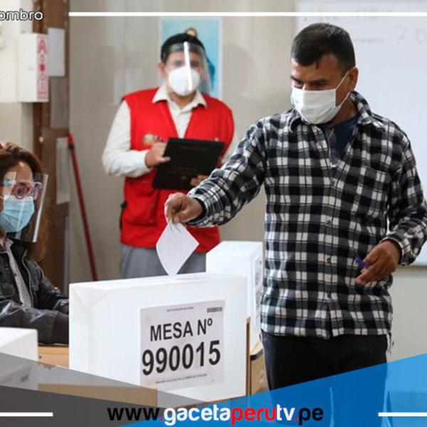 70 organizaciones políticas elegirán candidatos a través de sus afiliados 