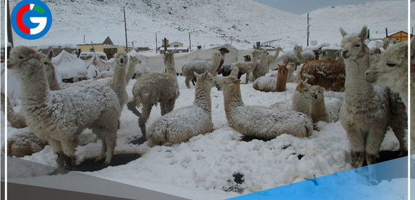 La Sierra soportará otro periodo de lluvias intensas, nieve y granizo 