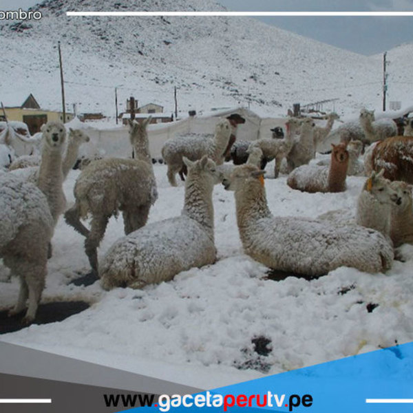 La Sierra soportará otro periodo de lluvias intensas, nieve y granizo 