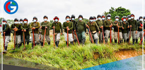 Erradicarán este año 18, 000 hectáreas de cultivos ilegales de hoja de coca