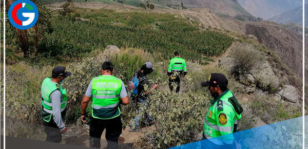 Con ayuda de dron Policía busca a Natasha de Crombrugghe en el Valle del Colca 