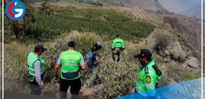 Con ayuda de dron Policía busca a Natasha de Crombrugghe en el Valle del Colca 