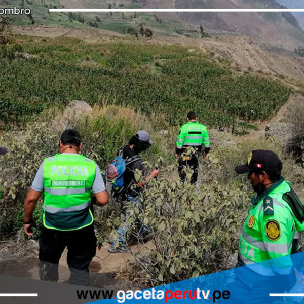 Con ayuda de dron Policía busca a Natasha de Crombrugghe en el Valle del Colca 