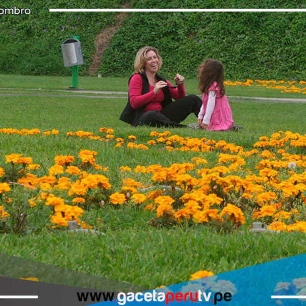 Proyectan construir tres parques ecológicos para beneficio de niños y adultos en San Juan de Miraflores