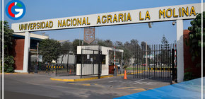 Universidad Agraria desarrollará este domingo 27 de marzo su examen de admisión presencial 