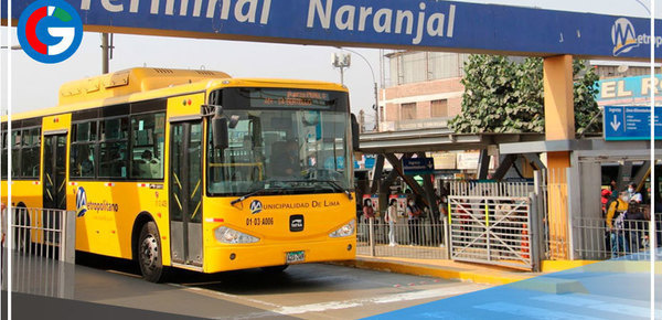 Rutas alimentadoras paralizan sus servicios desde hoy lunes 7 de marzo 