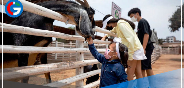 Disfruta de un programa especial en el Parque de las Leyendas 