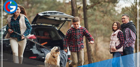 Cuatro recomendaciones para viajar con tu mascota 