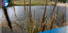 Cajamarca: Crean el mecanismo de retribución por agua Cuenca Verde 