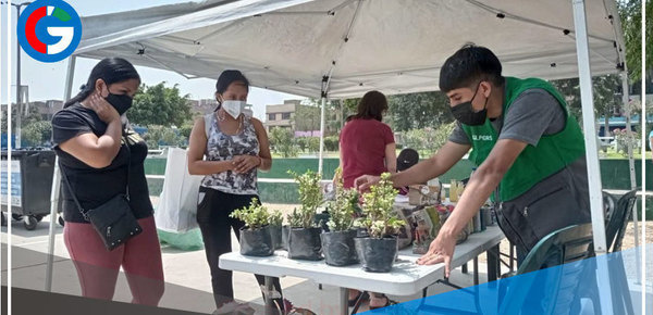 Los Olivos: Reciclaje responsable para nuestro medio ambiente