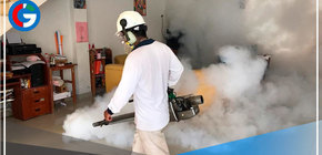 Fumigarán 1,800 viviendas en Picsi para erradicar zancudo transmisor del dengue en Lambayeque