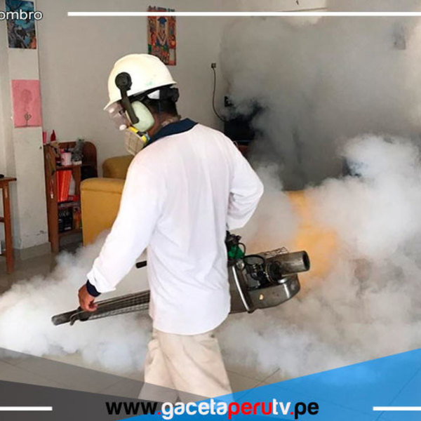 Fumigarán 1,800 viviendas en Picsi para erradicar zancudo transmisor del dengue en Lambayeque