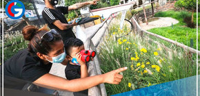 El lunes 2 de mayo es día no laborable para el sector público 