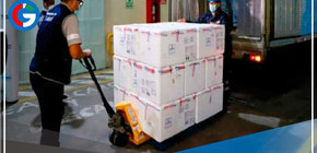 Regiones cuentan con stock de vacunas pediátricas contra la Influenza