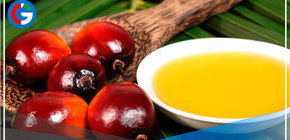 Suspenden exportaciones y pone en alerta al m ercado global de aceites vegetales en Indonesia 