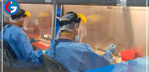 Sepa en qué regiones se han detectado casos del sublinaje BA.2 de ómicron 