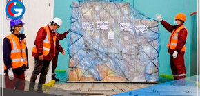 Reciben más de 460 mil nuevas dosis de vacunas contra la influenza para adultos 