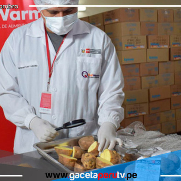 Cajamarca: Incorporan en servicio alimentario escolar papa nativa huagalina