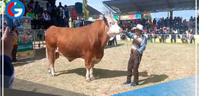 Puno: Invierten más de S/ 173 millones para apoyar sectores ganadero e hídrico 