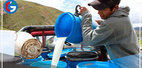 Impulsarán negocios ganaderos y lácteos 