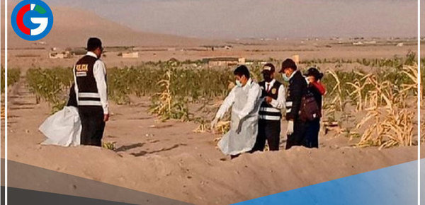 Tacna: Dos hombres son enterrados en chacra, maniatados y torturados