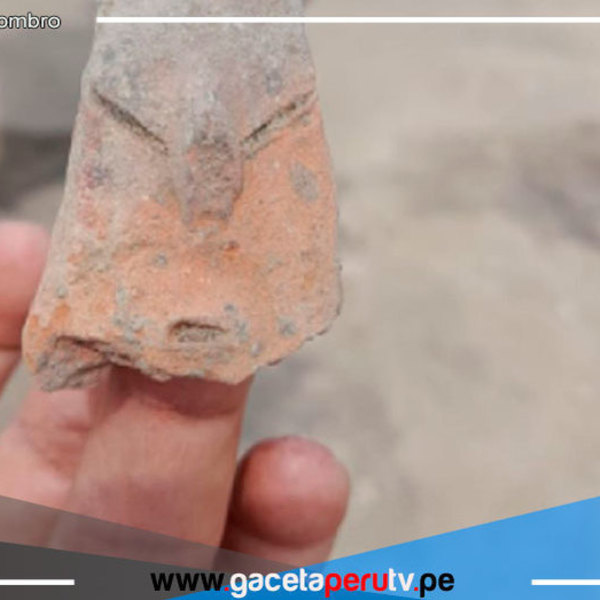 Descubren centro poblado de artesanos Paracas en valle de Chincha 