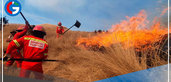 El 95 % de los incendios forestales se originan por causas humanas 