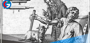 El 15 de junio de 1667 (hace 355 años), Jean-Baptiste Denys realizó la primera transfusión de sangre