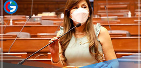 Camones se disculpa por expresiones contra bancada de Acción Popular 