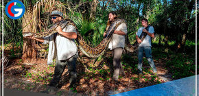 E.E.U.U.: Capturan una pitón de 5,49 metros, la más grande hallada hasta ahora en Florida 