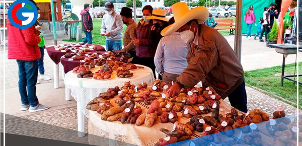 Productores de Cajamarca celebrarán su efeméride con feria agropecuaria 