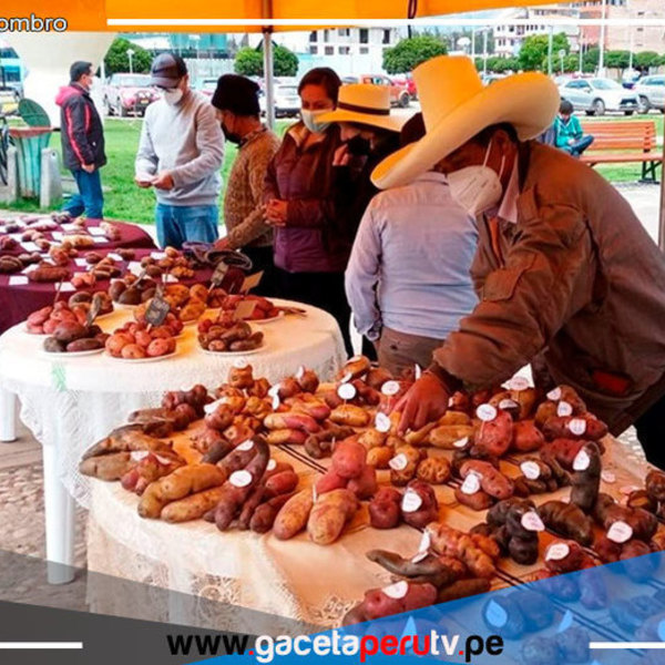 Productores de Cajamarca celebrarán su efeméride con feria agropecuaria 