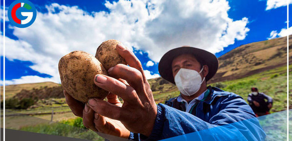 Gobierno aprueba crédito de S/ 2 mil millones para población vulnerable 