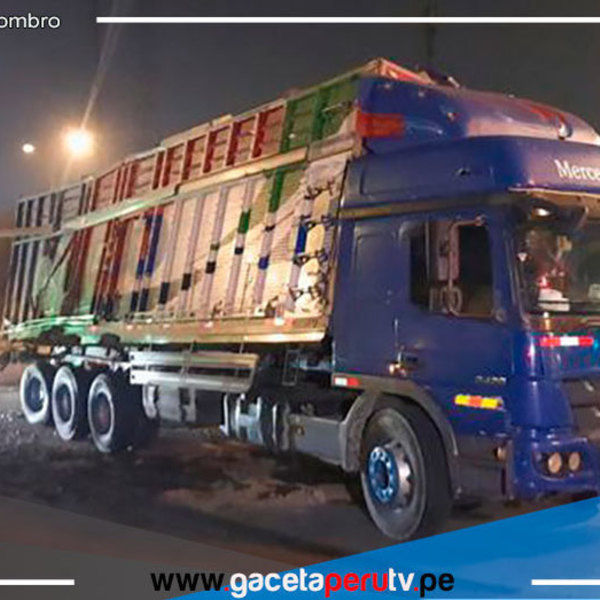 En el Agustino piloto y copiloto de un tráiler se estrellaron contra un tren de carga