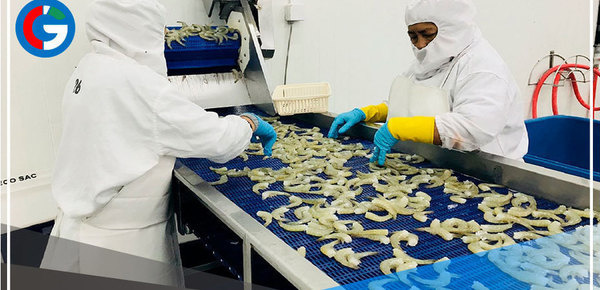 Buscan dinamizar comercio bilateral Perú-Ecuador 