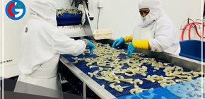 Buscan dinamizar comercio bilateral Perú-Ecuador 