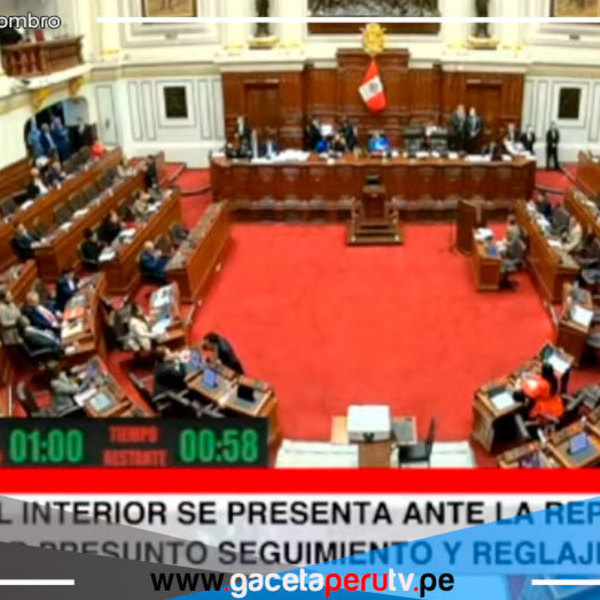 Mariano González se presentó en el Congreso tras denuncia de presunto reglaje por parte de Zamir Villaverde