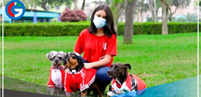 Comas: Realizarán concurso canino de disfraces en club zonal Sinchi Roca 