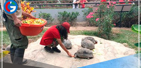 San Miguel: Parque de las Leyendas ofrece tarifas promocionales para estudiantes 