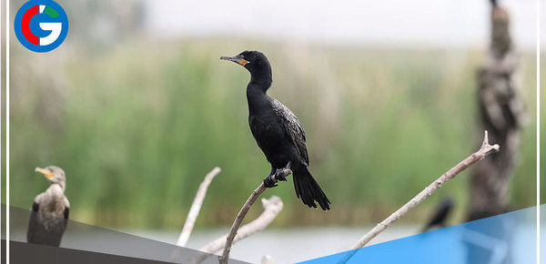 Exhortan a la población a valorar la riqueza de los humedales
