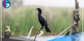 Exhortan a la población a valorar la riqueza de los humedales