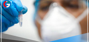 Viruela del mono: 305 los casos confirmados en Perú