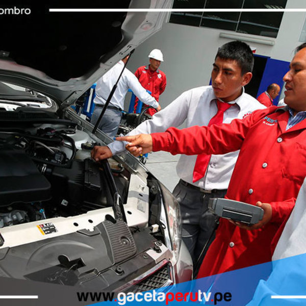 Cerca de 400 institutos públicos se preparan para licenciamiento 