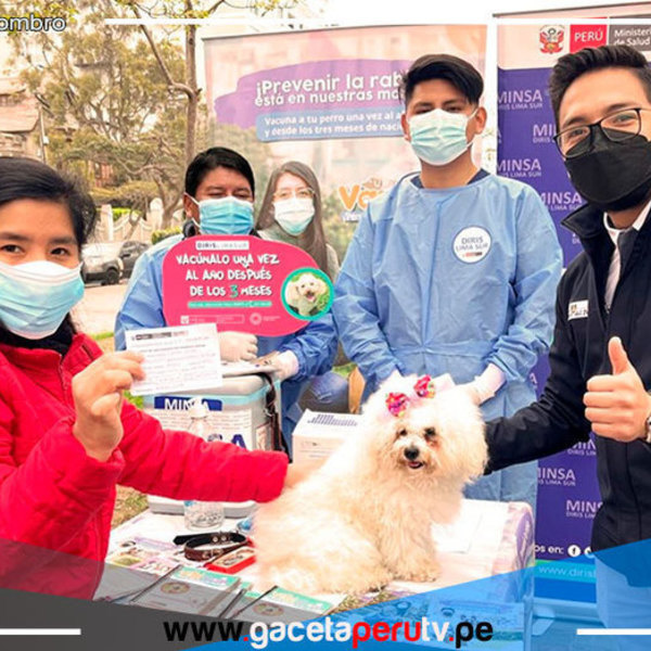 Más de 220,000 canes serán vacunados en distritos de Lima Sur