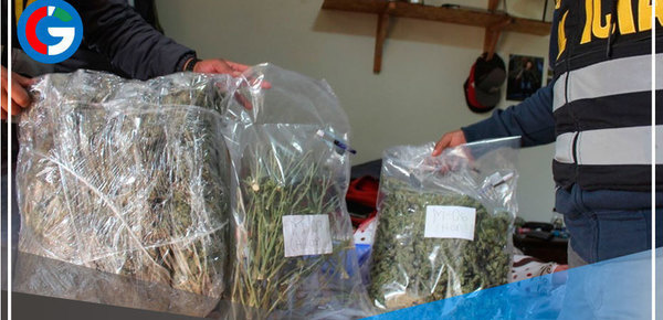 Chiclayo: condenan a 15 años de prisión a 4 personas por tráfico de drogas 